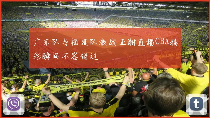 广东队与福建队激战正酣直播CBA精彩瞬间不容错过