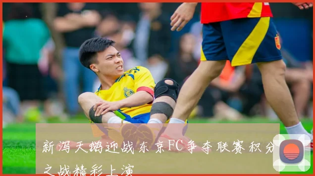 新泻天鹅迎战东京FC争夺联赛积分之战精彩上演
